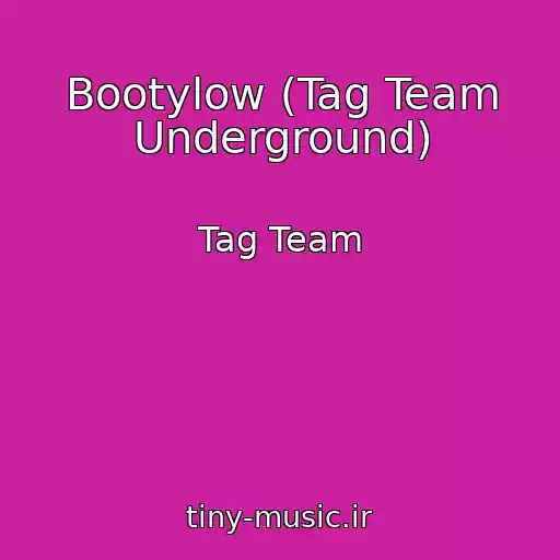کاور آهنگ Bootylow (Tag Team Underground) از Tag Team