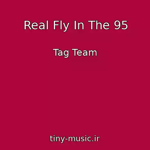 کاور آهنگ Real Fly In The 95 از Tag Team
