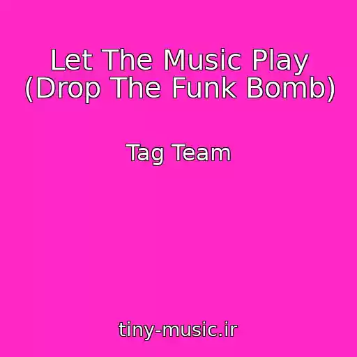 کاور آهنگ Let The Music Play (Drop The Funk Bomb) از Tag Team