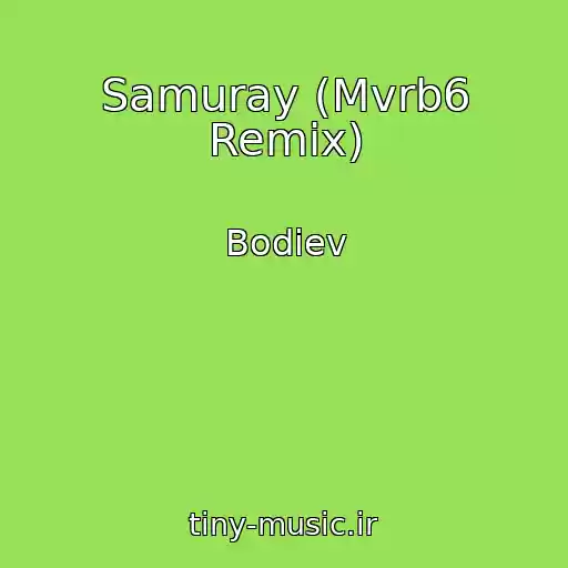 کاور آهنگ Samuray (Mvrb6 Remix) از Bodiev