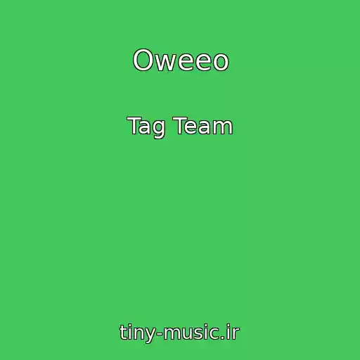 کاور آهنگ Oweeo از Tag Team