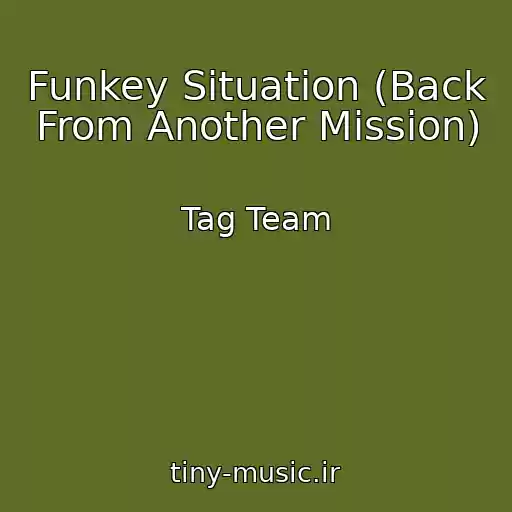 کاور آهنگ Funkey Situation (Back From Another Mission) از Tag Team