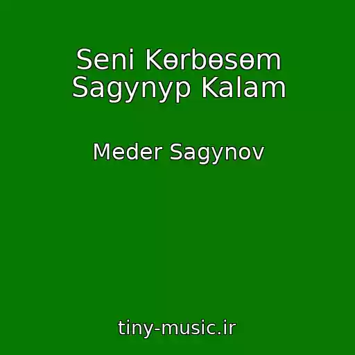 کاور آهنگ Seni Kөrbөsөm Sagynyp Kalam از Meder Sagynov