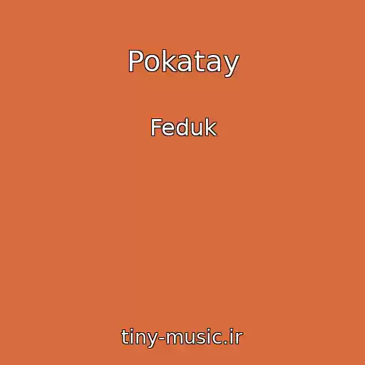 کاور آهنگ Pokatay از Feduk