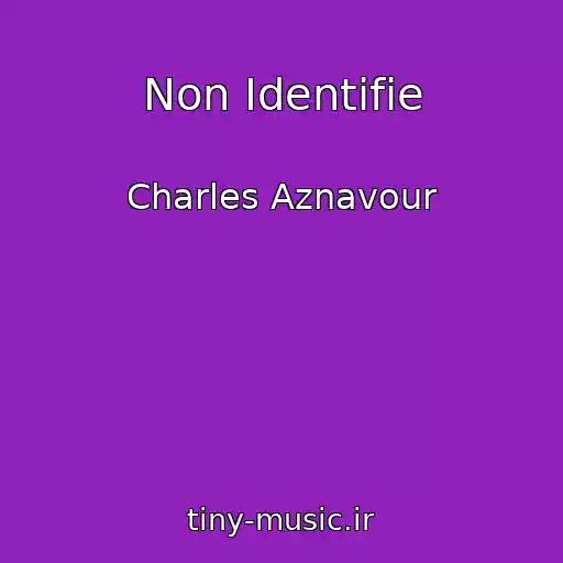 کاور آهنگ Non Identifie از Charles Aznavour
