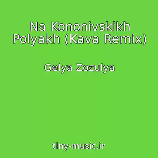 کاور آهنگ Na Kononіvskikh Polyakh (Kava Remix) از Gelya Zozulya