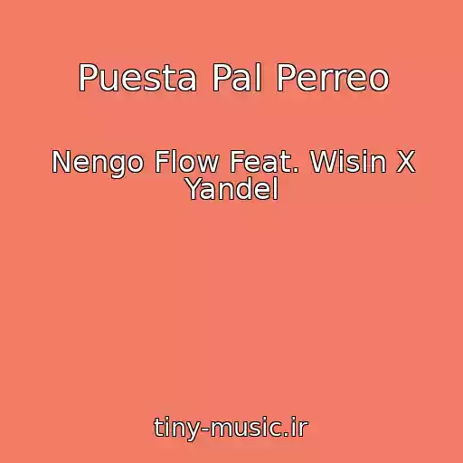 کاور آهنگ Puesta Pal Perreo از Nengo Flow Feat. Wisin X Yandel