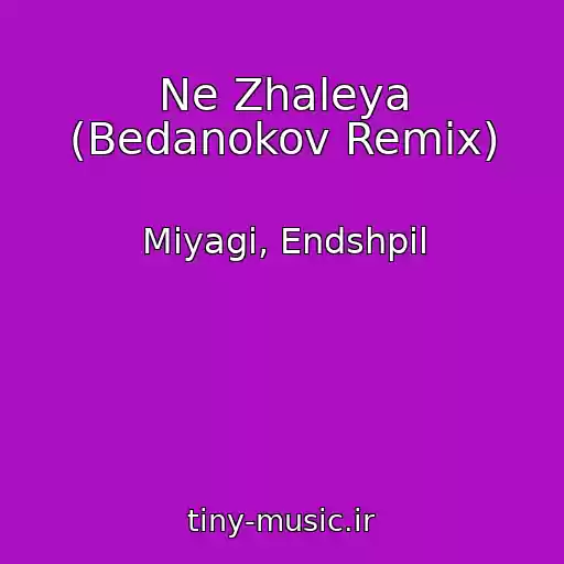 کاور آهنگ Ne Zhaleya (Bedanokov Remix) از Miyagi, Endshpil