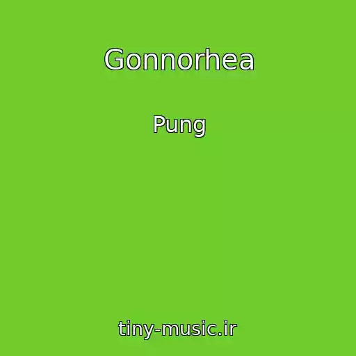 کاور آهنگ Gonnorhea از Pung