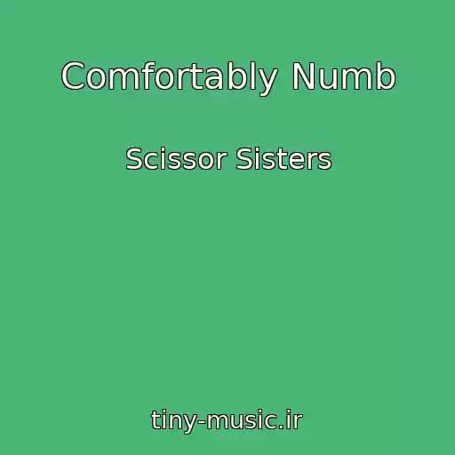 کاور آهنگ Comfortably Numb از Scissor Sisters