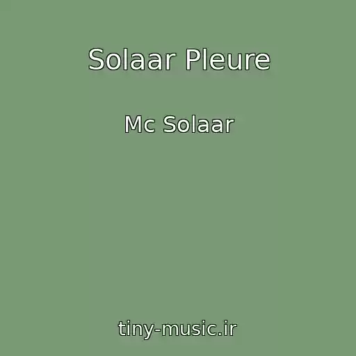 کاور آهنگ Solaar Pleure از Mc Solaar