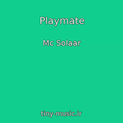 کاور آهنگ Playmate از Mc Solaar