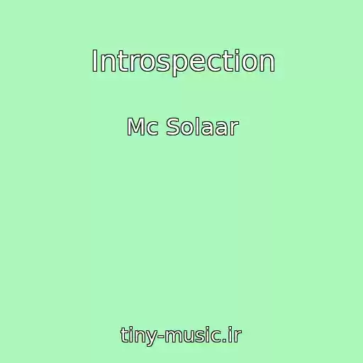 کاور آهنگ Introspection از Mc Solaar