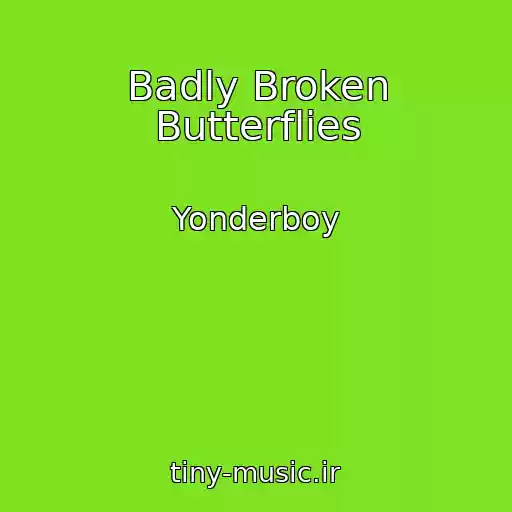 کاور آهنگ Badly Broken Butterflies از Yonderboy