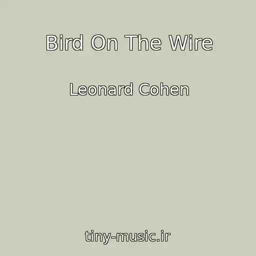 کاور آهنگ Bird On The Wire از Leonard Cohen