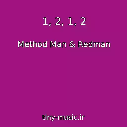 کاور آهنگ 1, 2, 1, 2 از Method Man & Redman