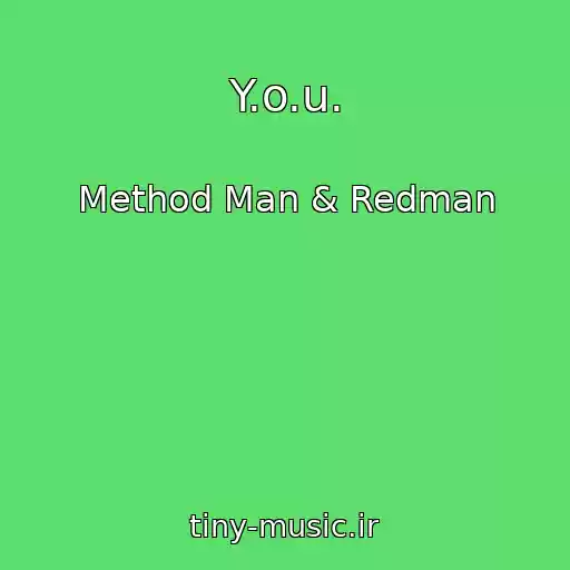 کاور آهنگ Y.o.u. از Method Man & Redman