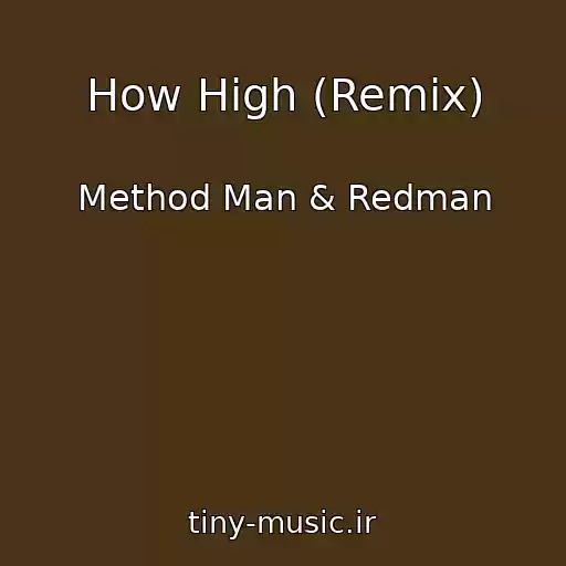 کاور آهنگ How High (Remix) از Method Man & Redman