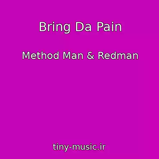 کاور آهنگ Bring Da Pain از Method Man & Redman