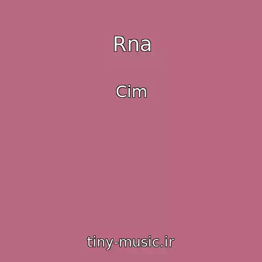 کاور آهنگ Rna از Cim