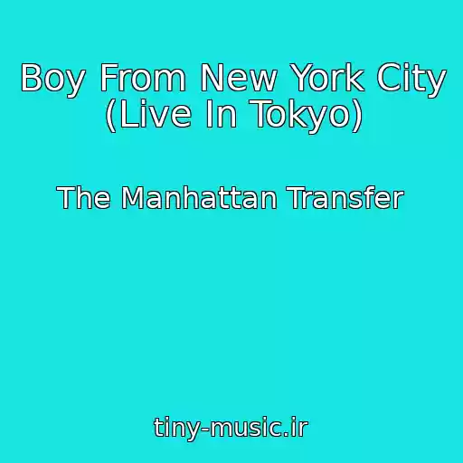 کاور آهنگ Boy From New York City (Live In Tokyo) از The Manhattan Transfer