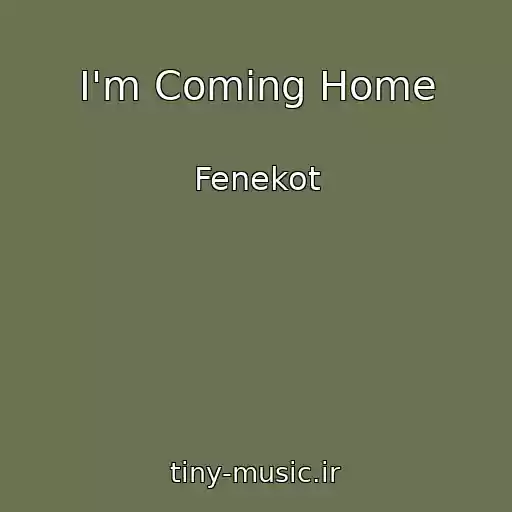 کاور آهنگ I'm Coming Home از Fenekot