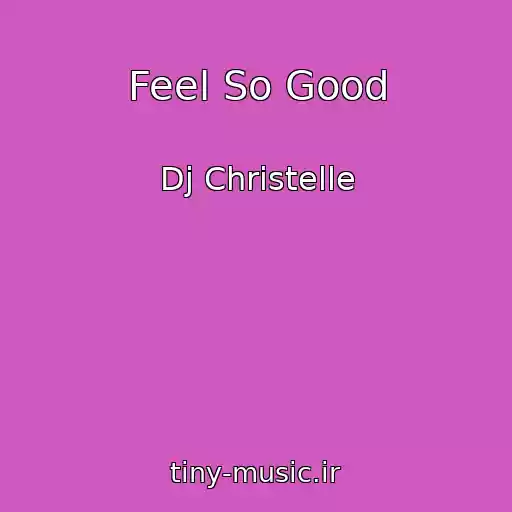 کاور آهنگ Feel So Good از Dj Christelle