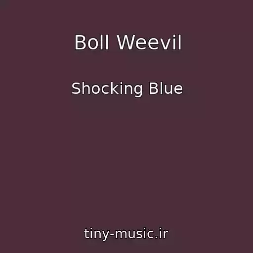 کاور آهنگ Boll Weevil از Shocking Blue