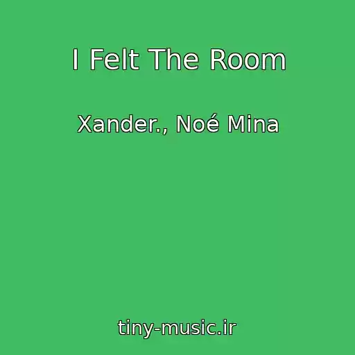 کاور آهنگ I Felt The Room از Xander., Noé Mina