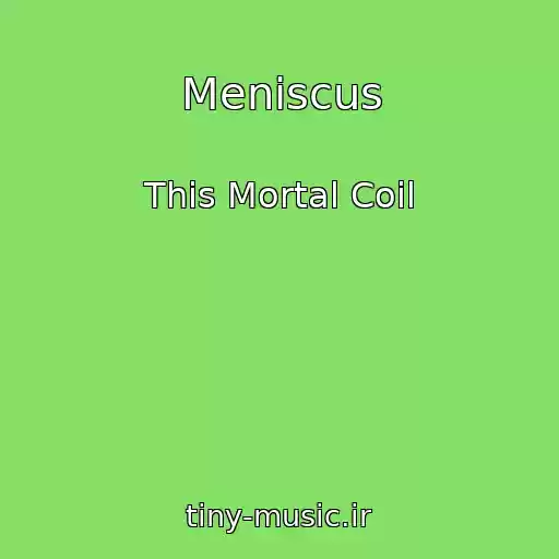 کاور آهنگ Meniscus از This Mortal Coil