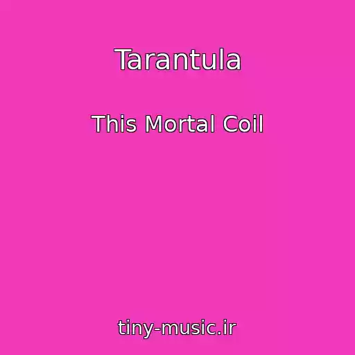 کاور آهنگ Tarantula از This Mortal Coil