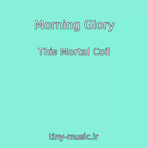 کاور آهنگ Morning Glory از This Mortal Coil