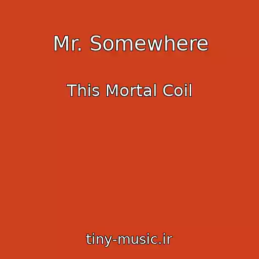 کاور آهنگ Mr. Somewhere از This Mortal Coil