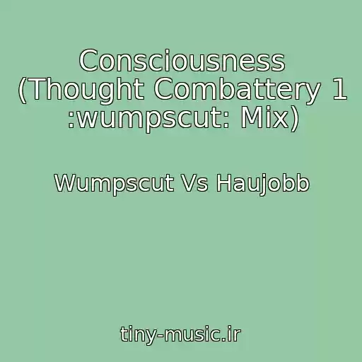 کاور آهنگ Consciousness (Thought Combattery 1 :wumpscut: Mix) از Wumpscut Vs Haujobb