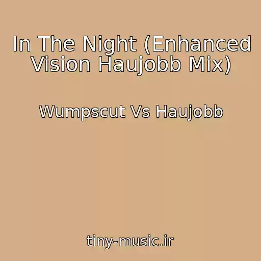 کاور آهنگ In The Night (Enhanced Vision Haujobb Mix) از Wumpscut Vs Haujobb