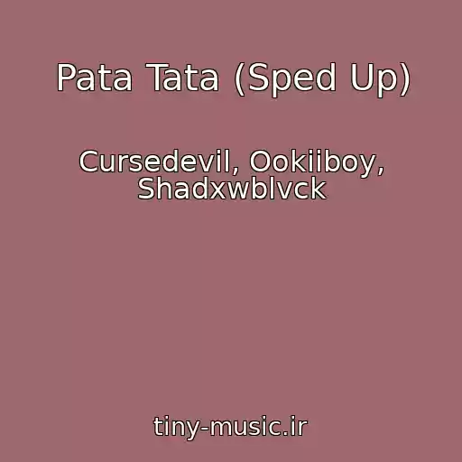 کاور آهنگ Pata Tata (Sped Up) از Cursedevil, Ookiiboy, Shadxwblvck