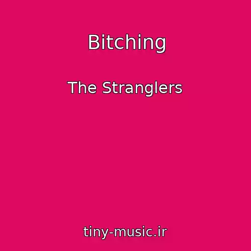 کاور آهنگ Bitching از The Stranglers