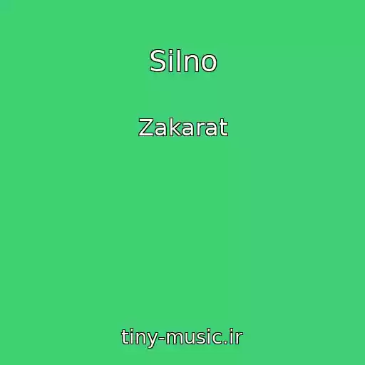 کاور آهنگ Silno از Zakarat