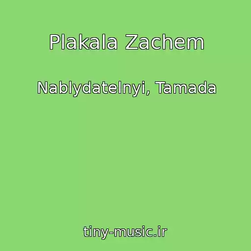 کاور آهنگ Plakala Zachem از Nablydatelnyi, Tamada