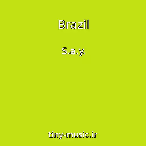 کاور آهنگ Brazil از S.a.y.