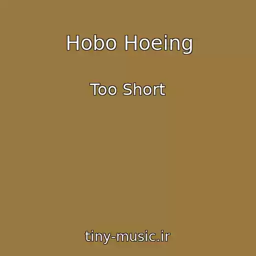 کاور آهنگ Hobo Hoeing از Too Short