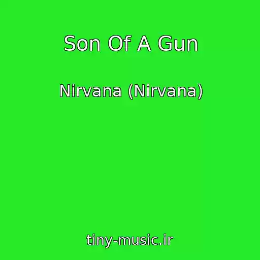 کاور آهنگ Son Of A Gun از Nirvana (Nirvana)