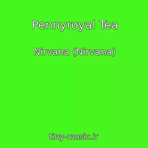 کاور آهنگ Pennyroyal Tea از Nirvana (Nirvana)