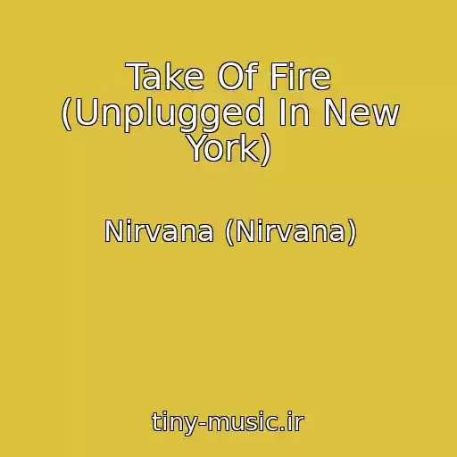 کاور آهنگ Take Of Fire (Unplugged In New York) از Nirvana (Nirvana)