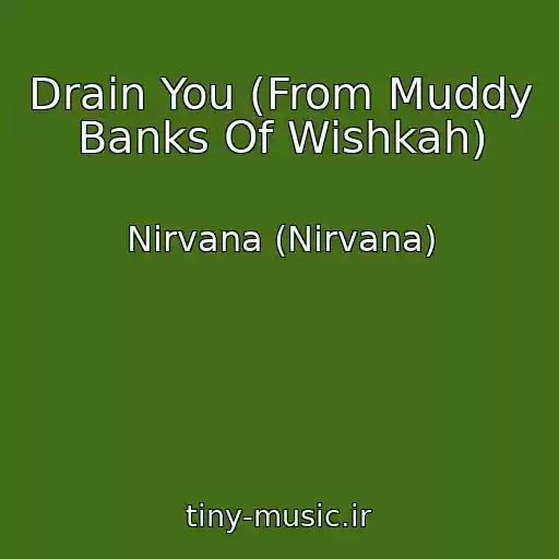 کاور آهنگ Drain You (From Muddy Banks Of Wishkah) از Nirvana (Nirvana)