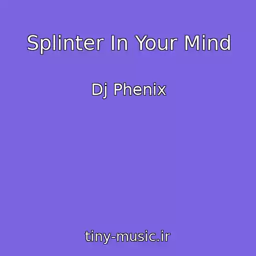 کاور آهنگ Splinter In Your Mind از Dj Phenix
