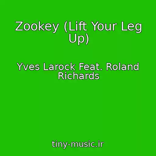 کاور آهنگ Zookey (Lift Your Leg Up) از Yves Larock Feat. Roland Richards
