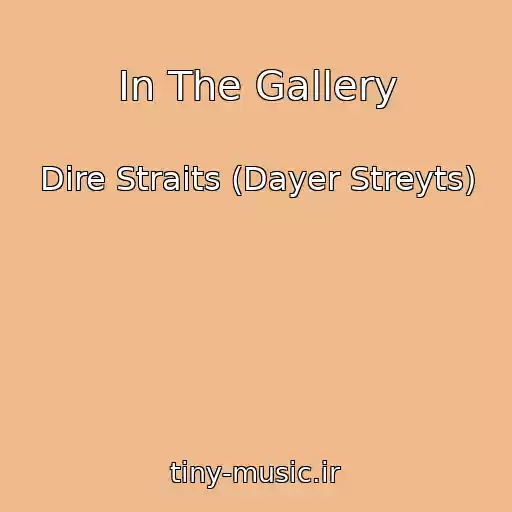 کاور آهنگ In The Gallery از Dire Straits (Dayer Streyts)
