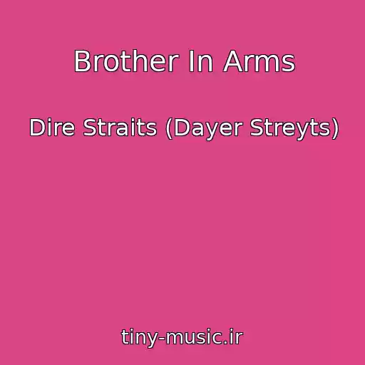 کاور آهنگ Brother In Arms از Dire Straits (Dayer Streyts)
