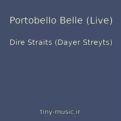 کاور آهنگ Portobello Belle (Live) از Dire Straits (Dayer Streyts)